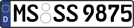 MS-SS9875