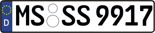 MS-SS9917