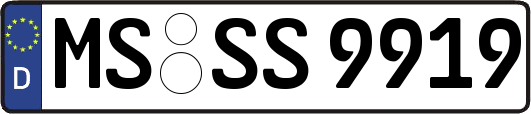 MS-SS9919
