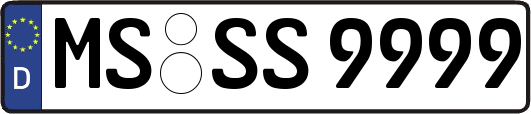 MS-SS9999