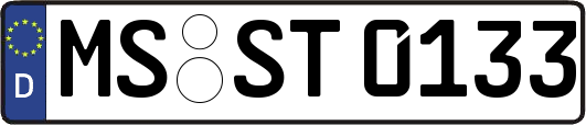 MS-ST0133