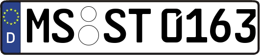 MS-ST0163