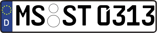 MS-ST0313