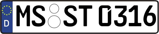MS-ST0316