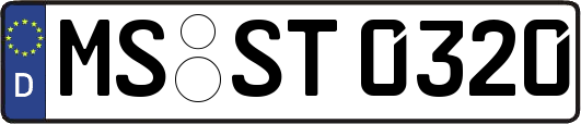 MS-ST0320