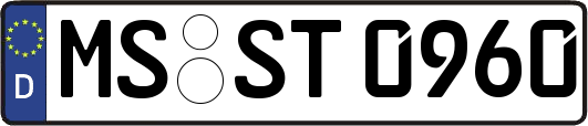 MS-ST0960
