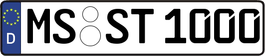 MS-ST1000