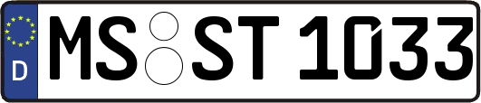 MS-ST1033