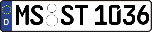 MS-ST1036