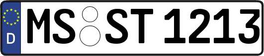 MS-ST1213