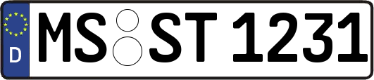 MS-ST1231