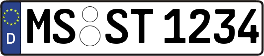 MS-ST1234