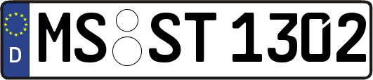 MS-ST1302