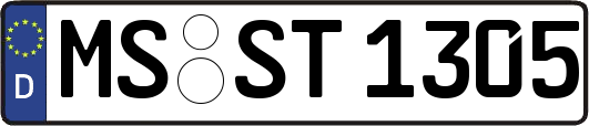 MS-ST1305
