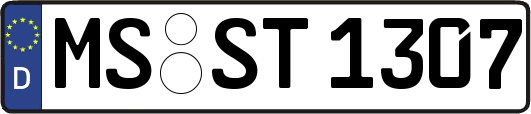 MS-ST1307