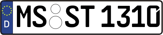 MS-ST1310