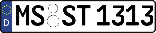 MS-ST1313
