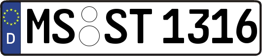 MS-ST1316