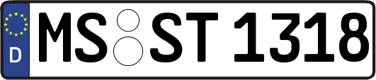 MS-ST1318