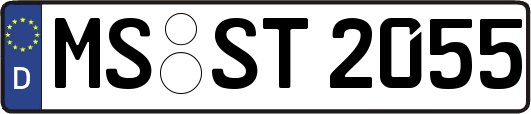 MS-ST2055