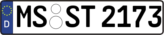 MS-ST2173