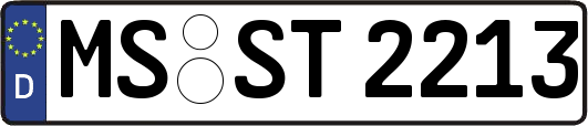 MS-ST2213