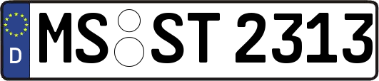 MS-ST2313