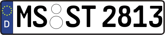 MS-ST2813