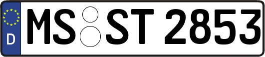 MS-ST2853