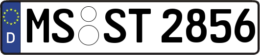 MS-ST2856