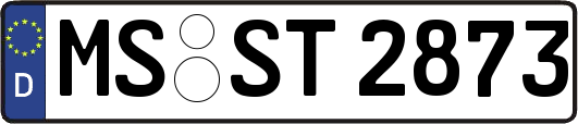 MS-ST2873