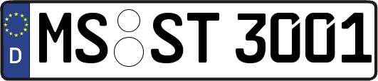 MS-ST3001