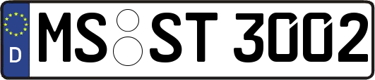MS-ST3002