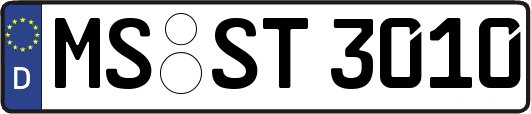 MS-ST3010