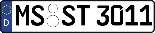 MS-ST3011