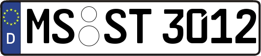 MS-ST3012
