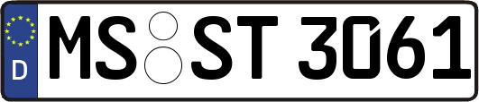 MS-ST3061