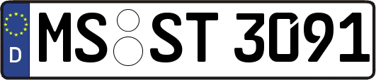 MS-ST3091