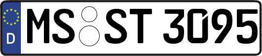 MS-ST3095