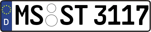 MS-ST3117