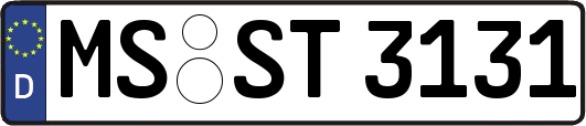 MS-ST3131