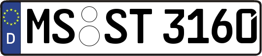 MS-ST3160
