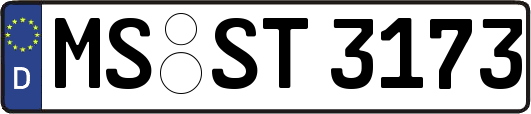 MS-ST3173