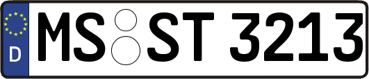 MS-ST3213