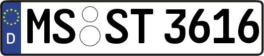MS-ST3616