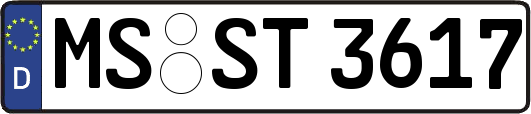 MS-ST3617