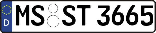 MS-ST3665