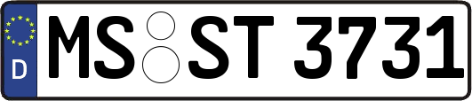 MS-ST3731