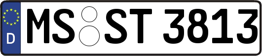 MS-ST3813