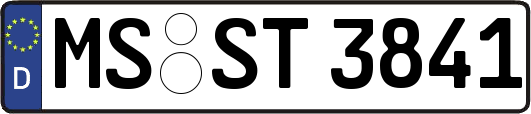 MS-ST3841